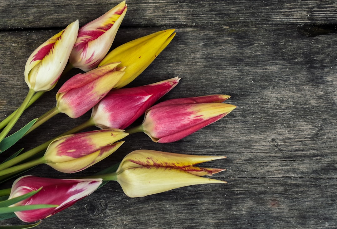 Prachtige bloemen dalen in de gaafste arrangementen