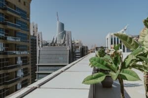 Photo Rooftop garden