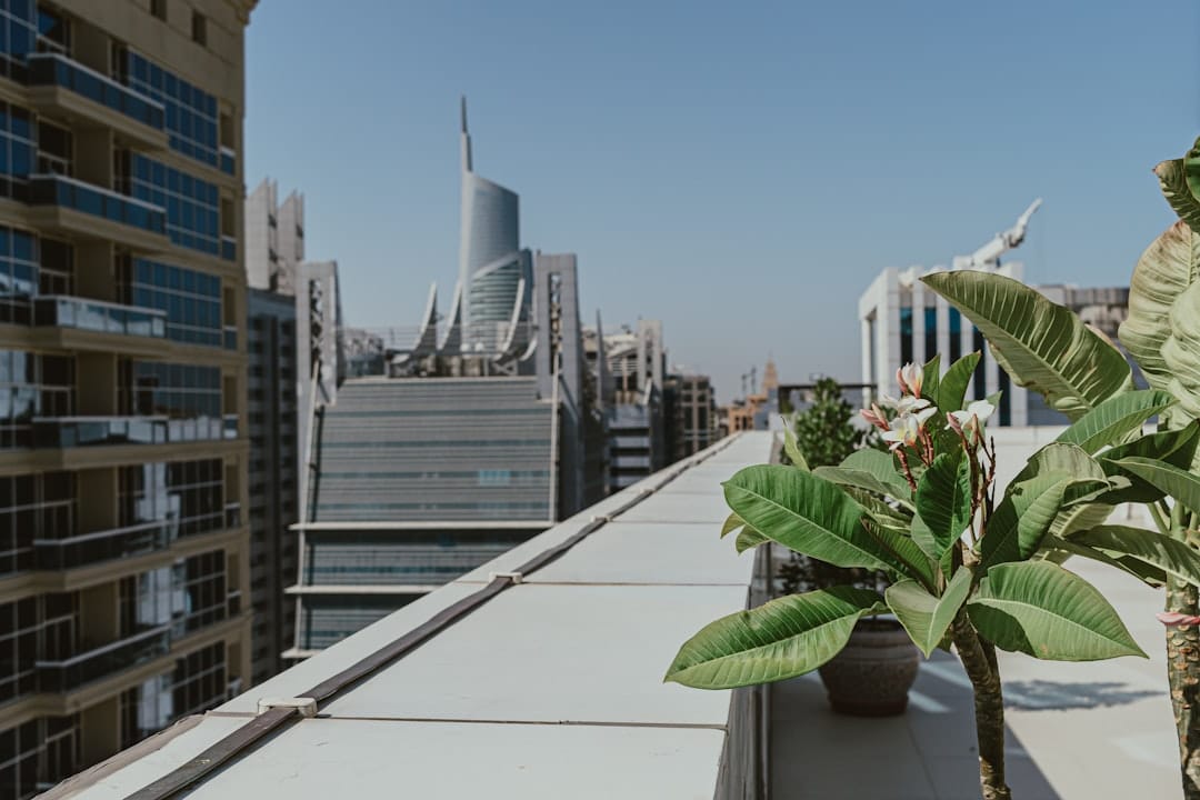 Urban Gardening: Je Eigen Groenten Kweken in de Stad