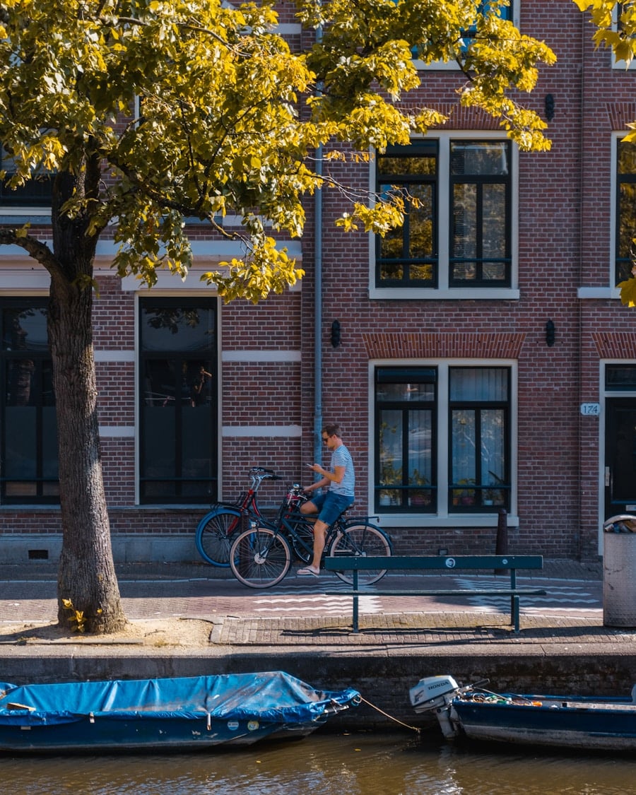 Photo "How Dutch Urban Gardens Connect the Community"