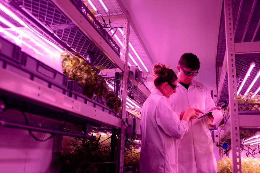 De Innovatiekracht van Nederlandse Biotechnologiebedrijven