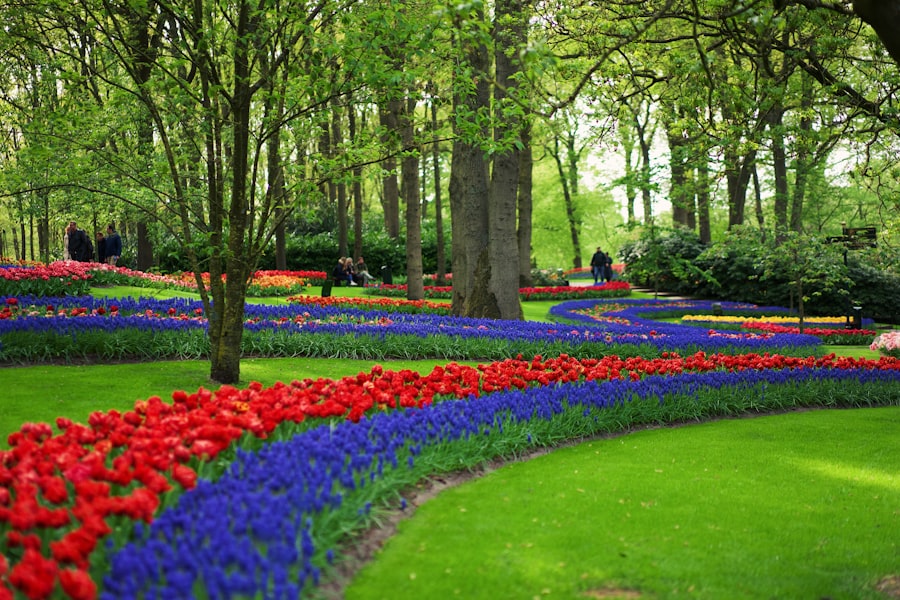 Netherlands Garden Art