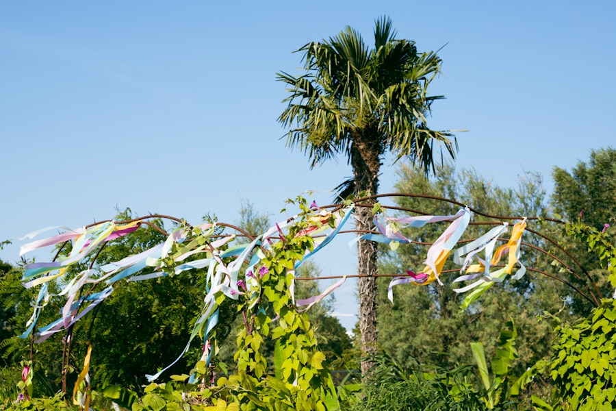 Sustainable Celebrations