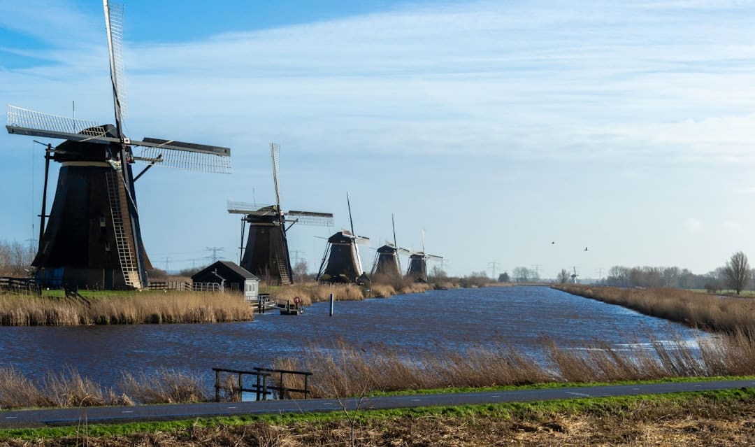 Innovaties in de Nederlandse Voedselketen: Van Boerderij tot Bord