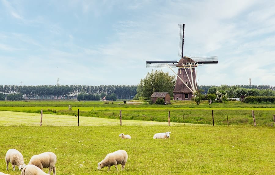 Photo Netherlands Food Chain Innovations
