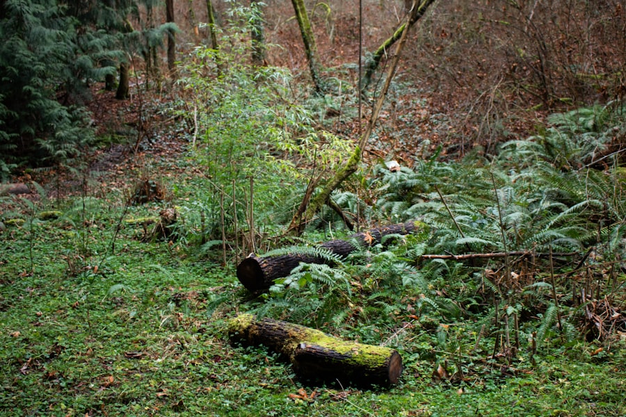 Ecological Footprint