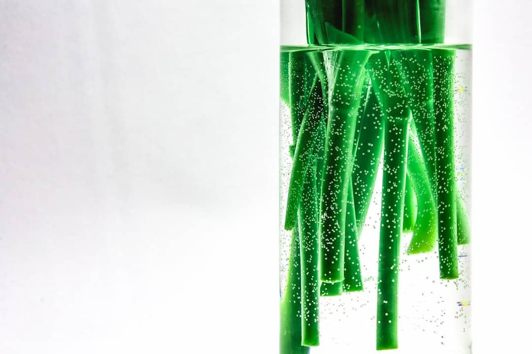 Het Potentieel van Nederlandse Innovaties in de Groene Chemie