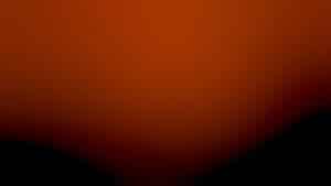 Photo Dutch Influences