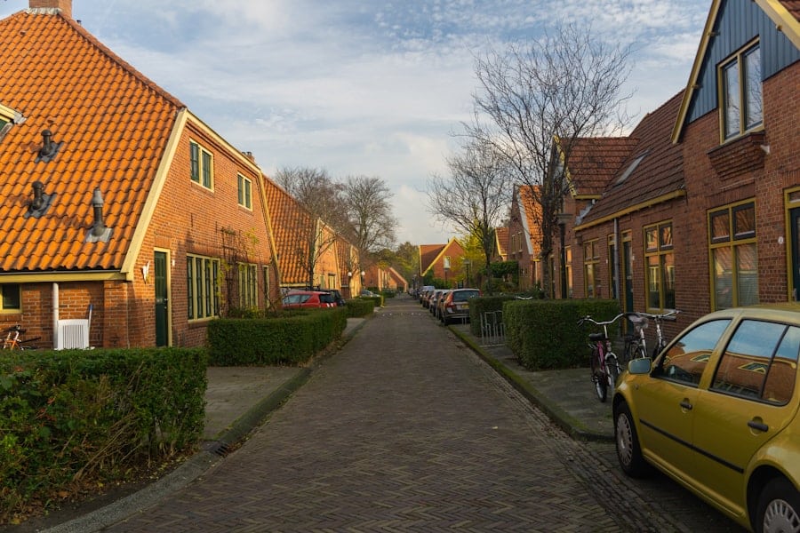 Nederlandse Popcultuur