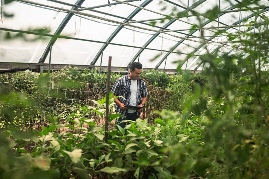 urban farming