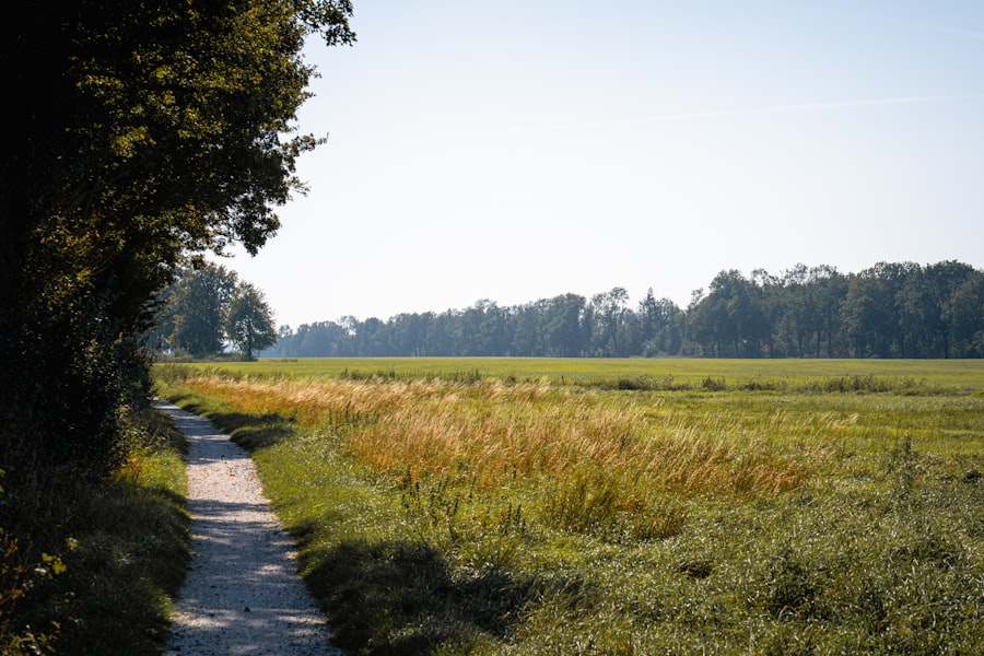 Photo Dutch nature conservation